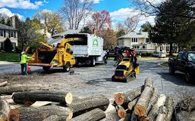 Best Tree Preservation Services  in Hoquiam, WA